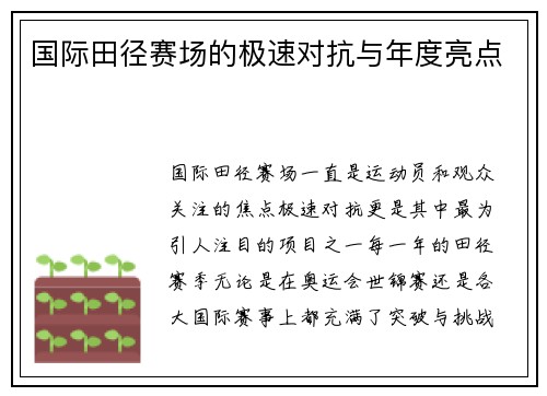 国际田径赛场的极速对抗与年度亮点